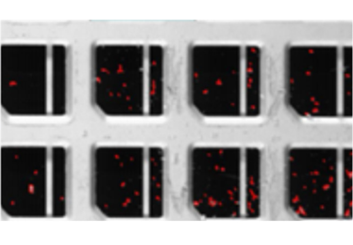 框架/基板AOI自動檢測設備 框架/基板AOI自動檢測設備