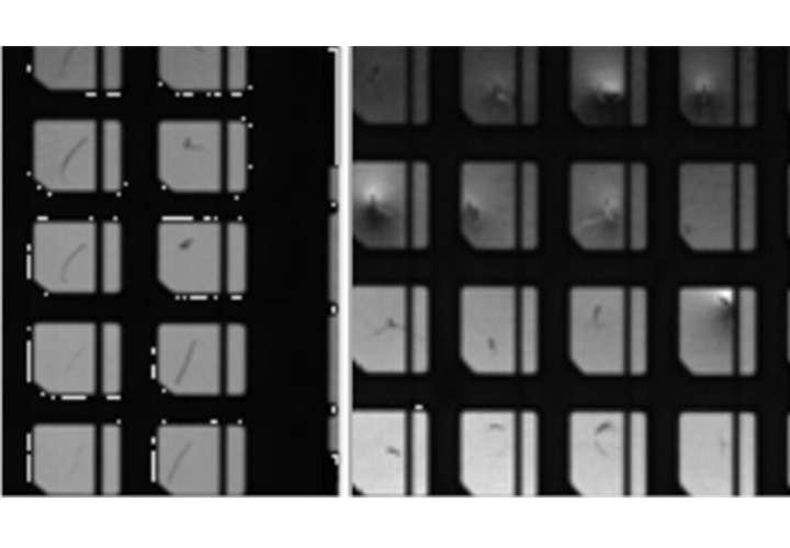 框架/基板AOI自動檢測設備 框架/基板AOI自動檢測設備